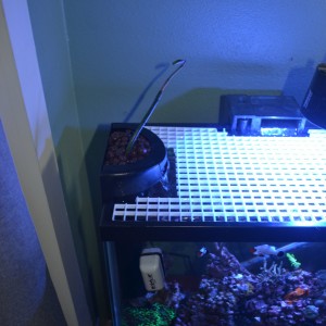 20g Bedroom