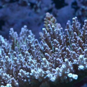 Photo Contest: 2015 August