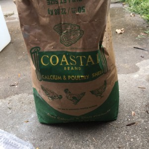 Curshed Oyster Shells