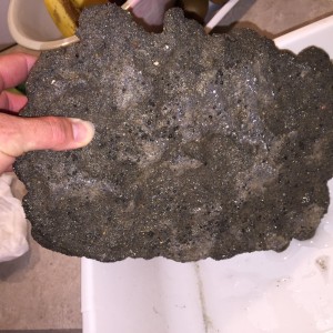 Bud's DIY Rock