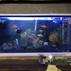 53219F75-BE01-41C4-B3B5-B6D495AB7DF6