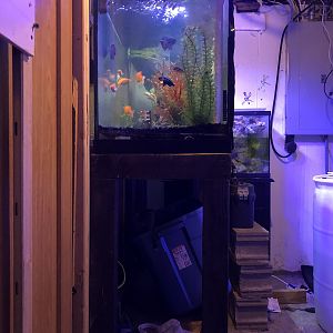 57F8CEBD-5F65-4916-934A-41B7D340135D