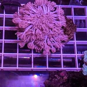 00000IMG_00000_BURST20200601205551847_COVER