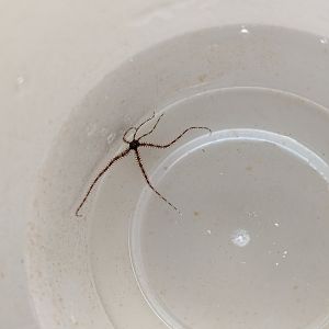 00000IMG_00000_BURST20200602063036621_COVER