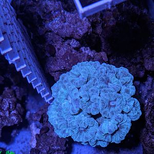 00100lrPORTRAIT_00100_BURST20200602212615487_COVER