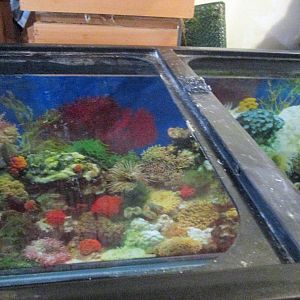 Top bracket, 75g tank