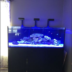 1F6CCDE2-1C20-4475-BA25-DDC3A920E936