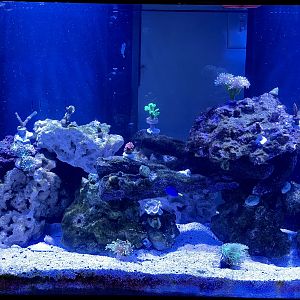 B70F576E-6389-4CF0-86BD-557BD5D6D090