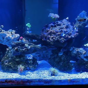 E06E599C-DBE3-4794-A85B-3FBD73E9F360