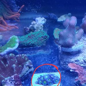 Screenshot_20230723_093743_Chrome