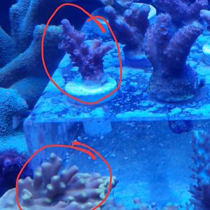 Screenshot_20230723_093659_Chrome