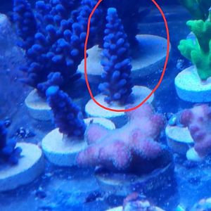 Screenshot_20230723_093624_Chrome