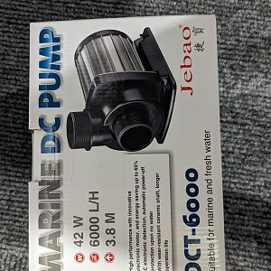 PXL_20231125_172154787