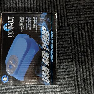 PXL_20231125_173000954