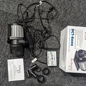 PXL_20231125_171859625