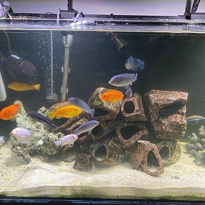 64048664078__66713DDA-C103-414F-AD7C-81D608BC4515