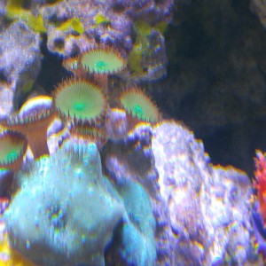 02/2016 Photo of the Month Contest