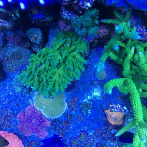 03/2016 Photo of the Month Contest