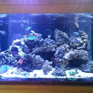 04/2016 Photo of the Month Contest