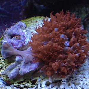 05/2016 Photo of the Month Contest