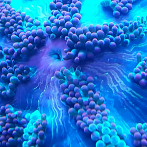 Screenshot_2016-05-16-07-11-33