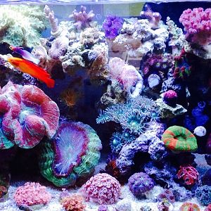 06/2016 Photo of the Month Contest