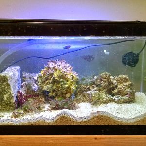 IMG_20171101_115750327_HDR[1]