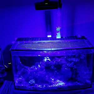 6 Gallon bow front jdinspector