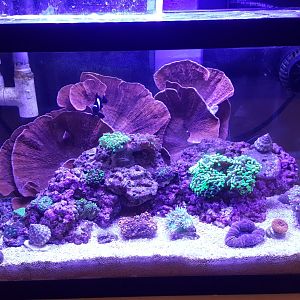 15146736061242022447752