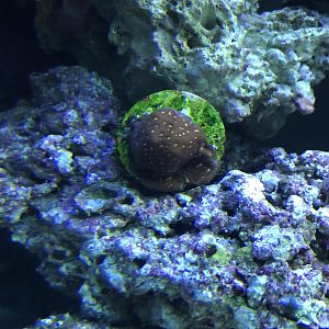 E4898735-218E-49C7-BCC7-C54040300A43