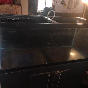 75 gallon for sale